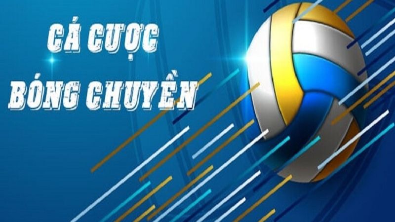 Tìm hiểu về cá cược bóng chuyền