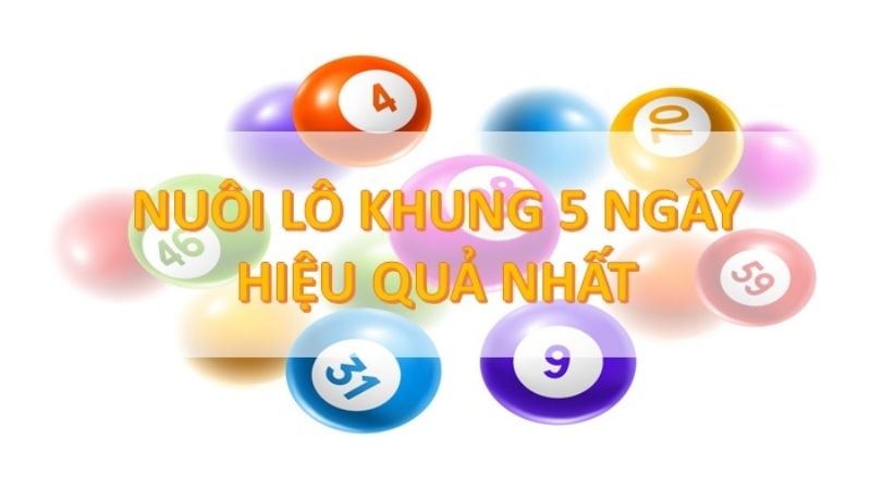 Nuôi lô khung 5 ngày hiệu quả nhất