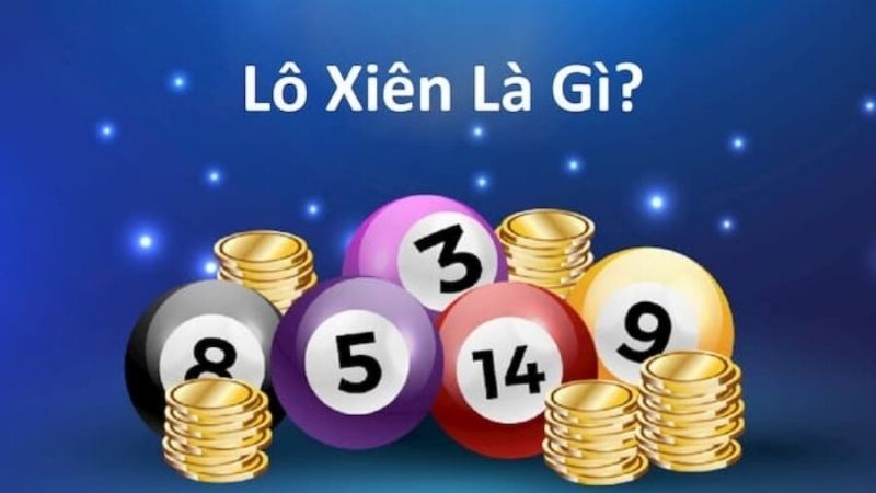 Lô xiên là gì?