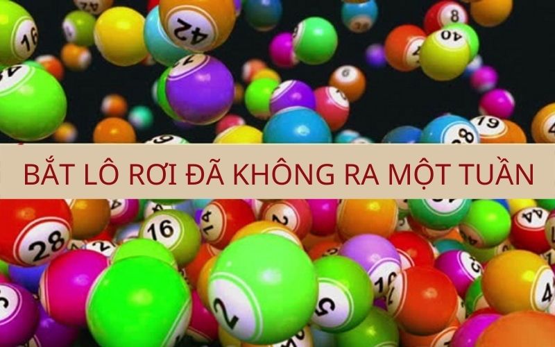 Bắt lô rơi đã không ra một tuần