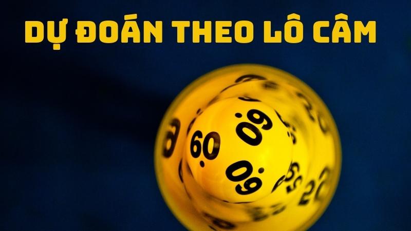 Phương pháp dự đoán XSMN theo lô câm